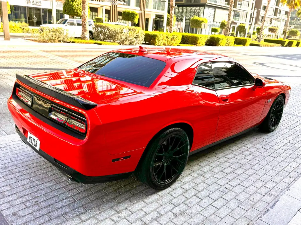 IMG-20250220-WA0041.webp